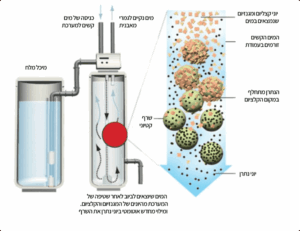 איור של מערכת מרכך מים