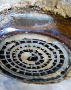 אבנית בכיור מטבח