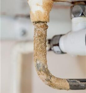 אבנית בצינור של כיור מטבח