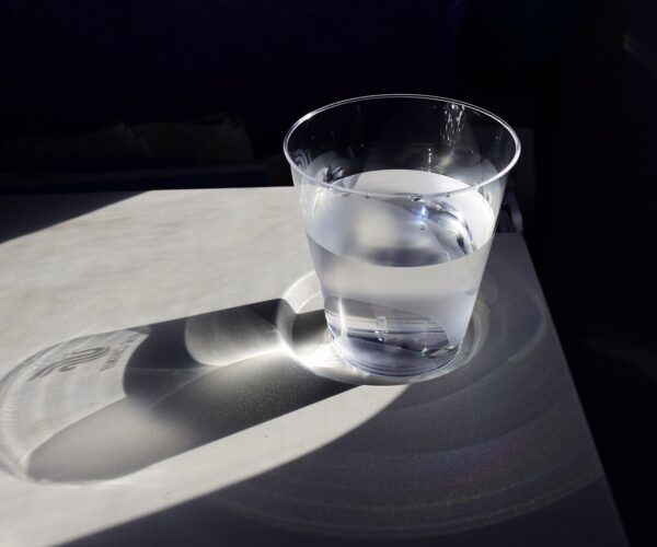 קולרים למשרדים – איך לבחור נכון?